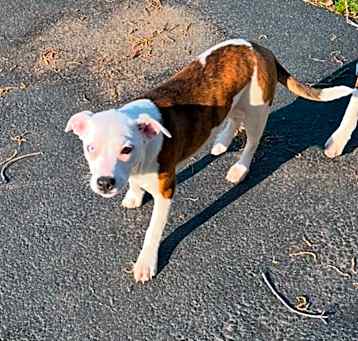 Photo of Faith