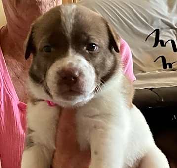 Photo of Maggie Mae