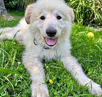 Photo of Elvi