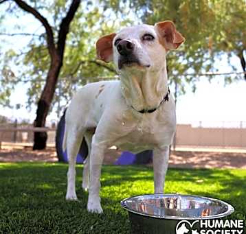 Photo of COOKIE
