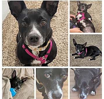 Photo of Nellie