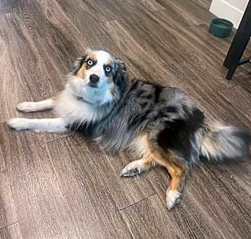 Photo of Chase