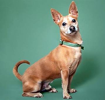 Photo of WALLACE