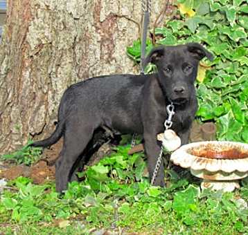 Photo of Gus