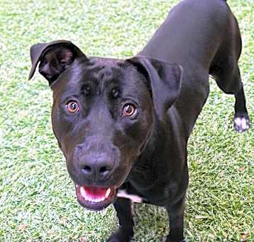 Photo of THOR