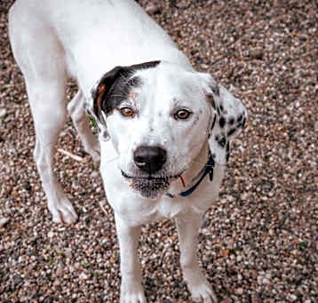 Photo of Granger