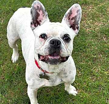 Photo of Betty