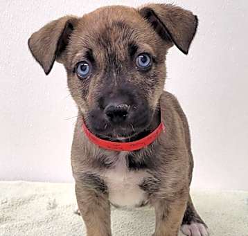 Photo of Jack Jack