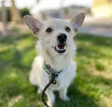Photo of TAKI