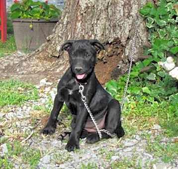 Photo of Tess