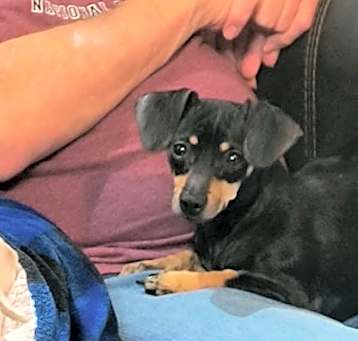 Photo of Daisy