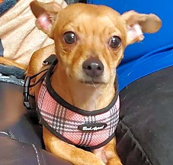 Photo of Nina