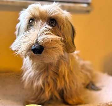 Photo of Zoom