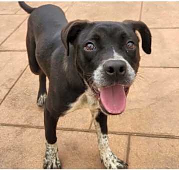 Photo of Jordan. c - URGENT!