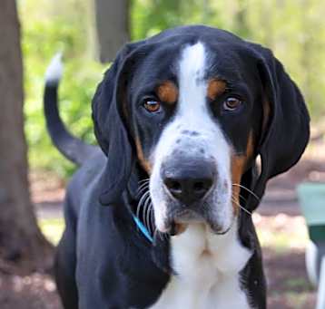 Photo of Grudo