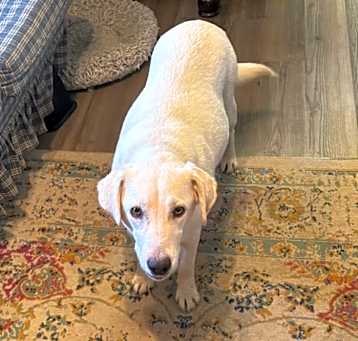 Photo of Maggie aka Mama