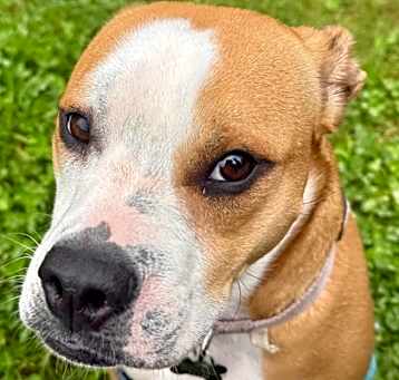 Photo of Athena Rose