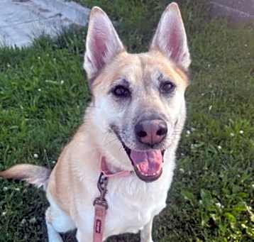 Photo of Juno