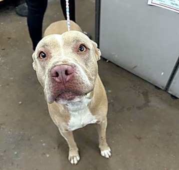 Photo of CHIQUITA