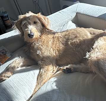 Photo of Ducky