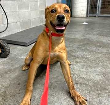 Photo of Coco