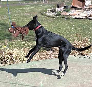 Photo of Rosie