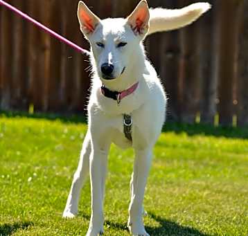 Photo of Kiki