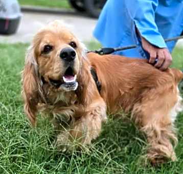 Photo of Cash
