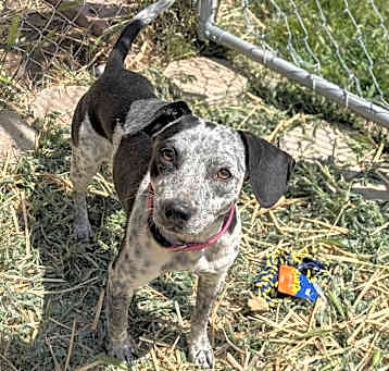 Photo of Annie