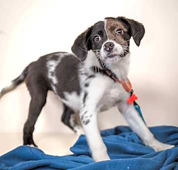 Photo of Honey