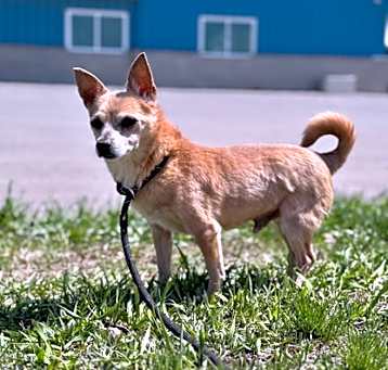 Photo of Hugo