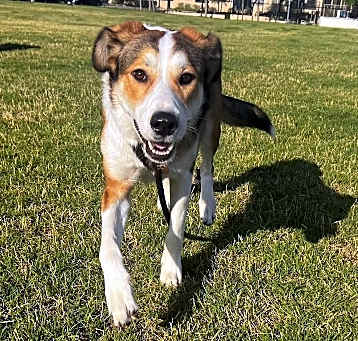 Photo of 24-082 Grace