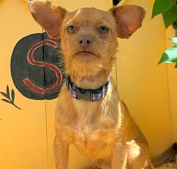 Photo of Paco