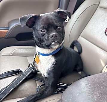 Photo of Tucker