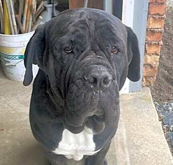 Photo of Hoss