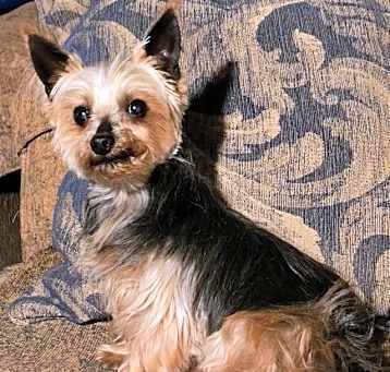 Photo of Yumi