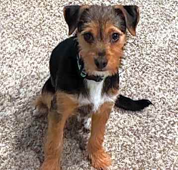 Photo of Murphy