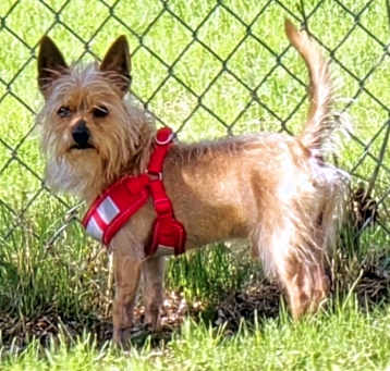 Photo of Milo
