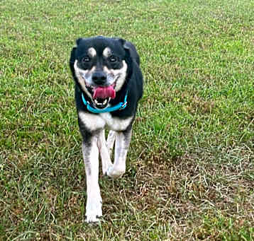 Photo of Lucy