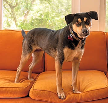 Photo of Gretchen
