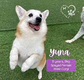 Photo of Yuna