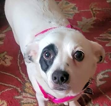 Photo of Lexi