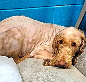 Photo of Vinnie DIRK 5/14/25