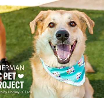 Photo of Sherman