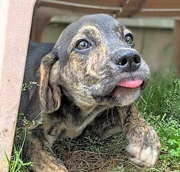 Photo of Ethel
