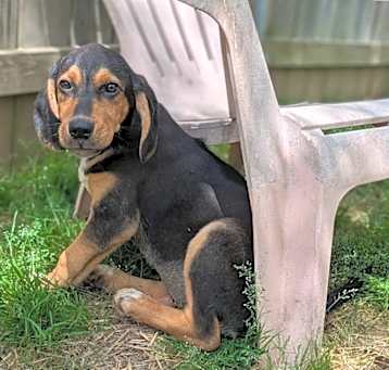 Photo of Lucy