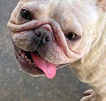 Photo of Lulu