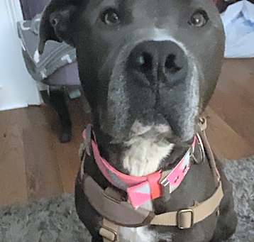 Photo of Angel