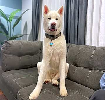 Photo of Oliver