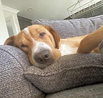 Photo of Mookie